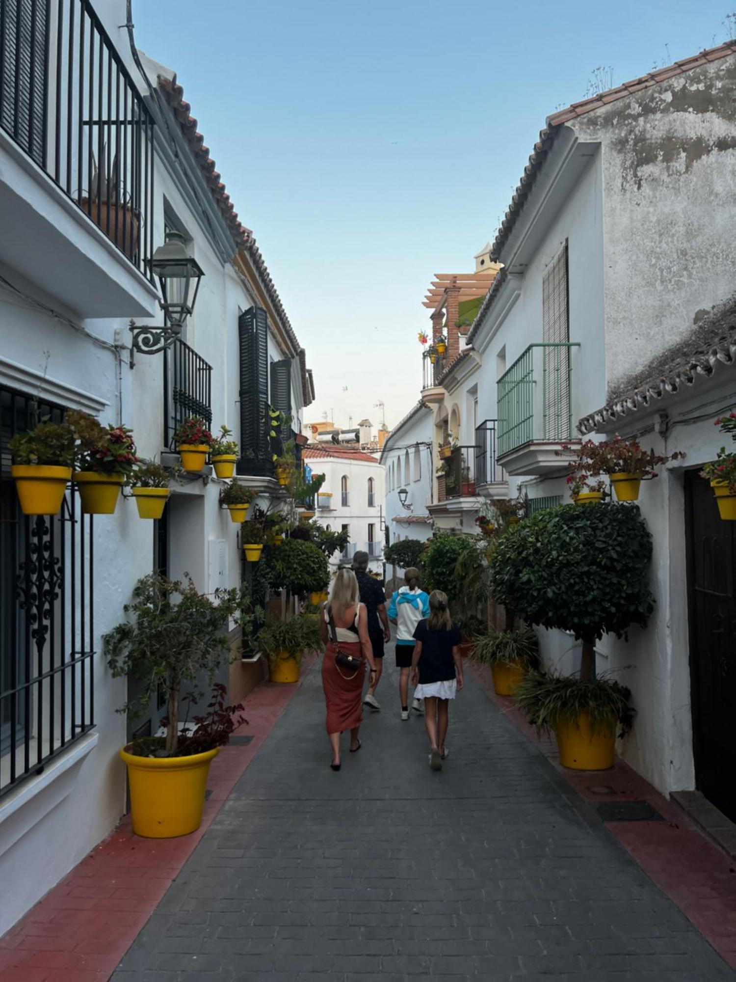 Playa Cristo Amazing Beach Terrace Appartment Estepona Exterior photo